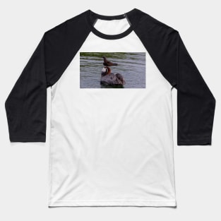 Galapagos Islands Pelican with Brown Noddy Baseball T-Shirt